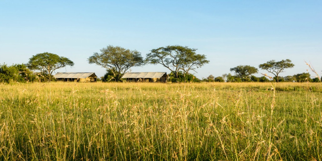 Serengeti Explore Safari Adventures