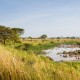 African Safari at the Singita Mara
