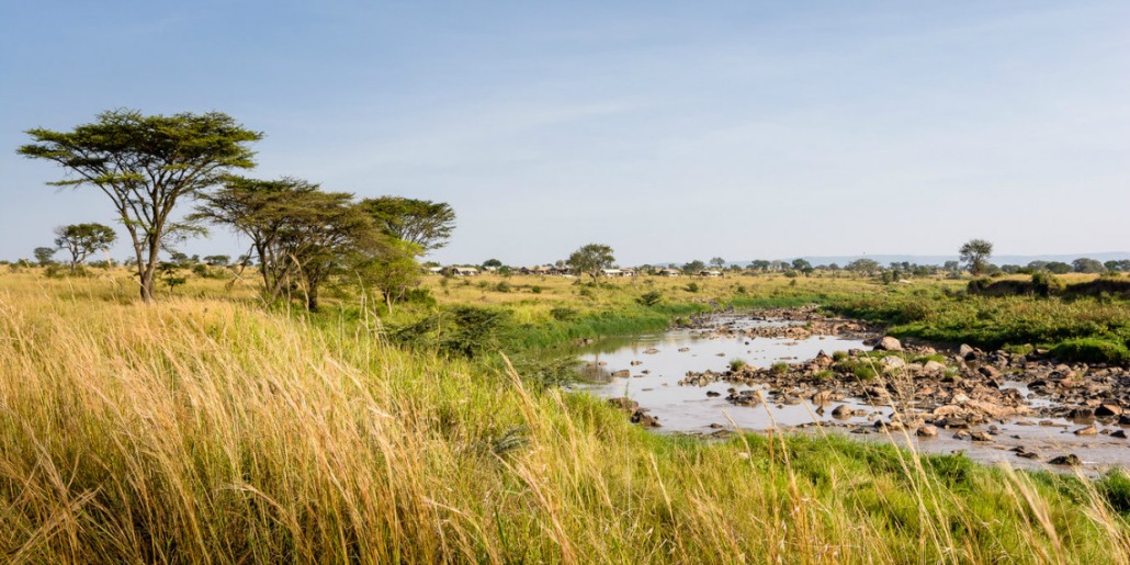 African Safari at the Singita Mara