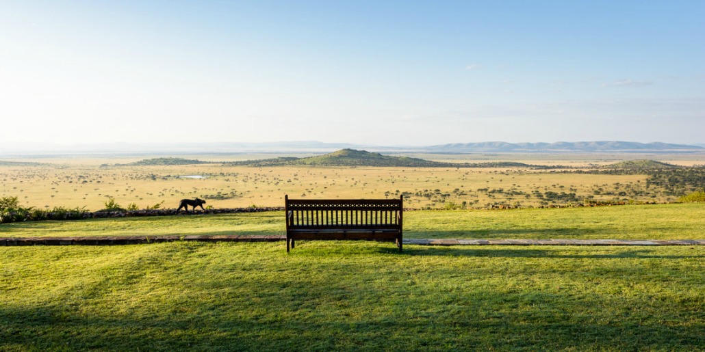 Serengeti Grasslands Hills