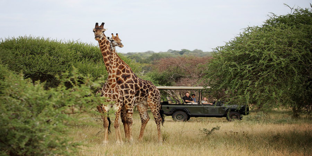 Bush Safari Camp Jabulani