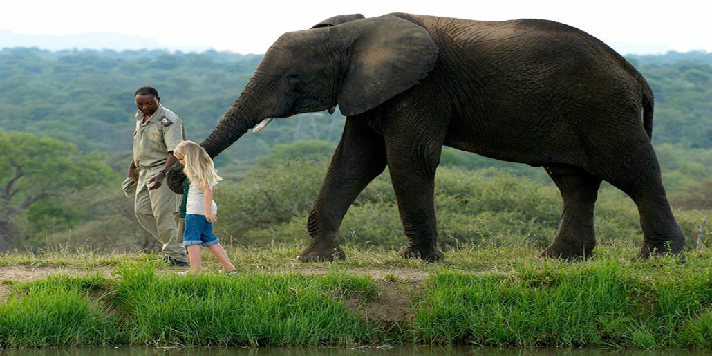 Elephant Safaris Camp Jabulani