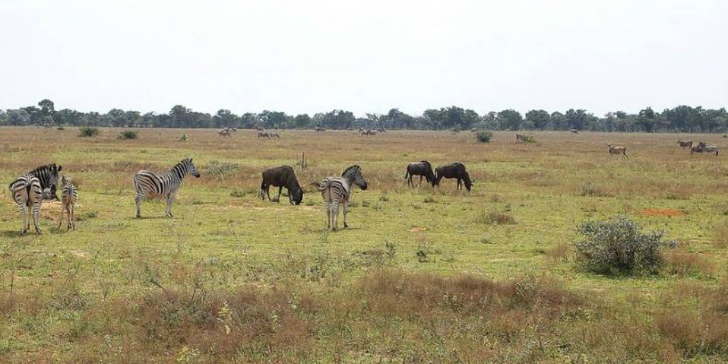 Private Game Reserve Shambala