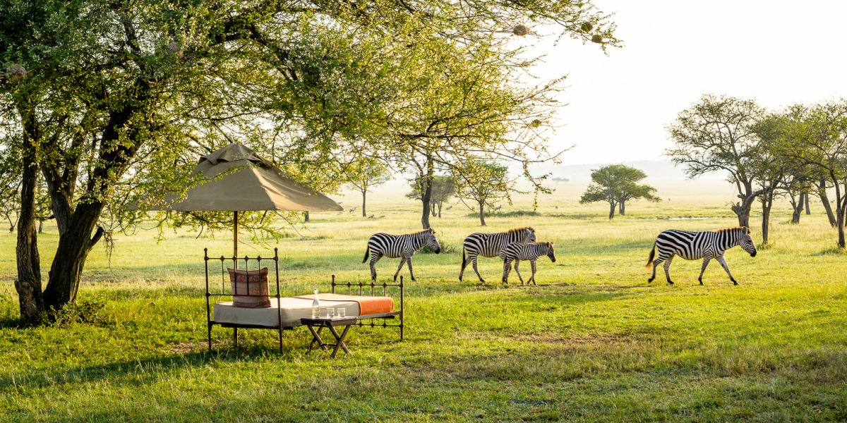 South Africa Grumeti Safari