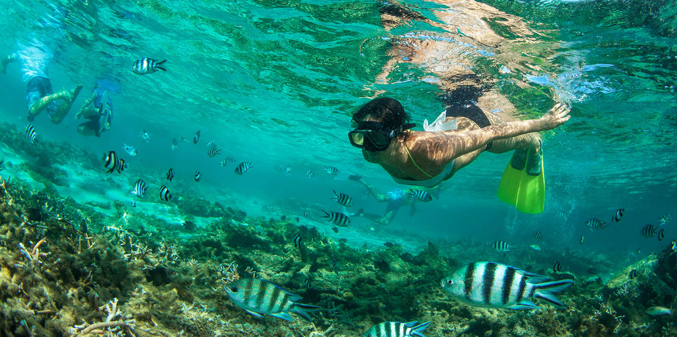 Snorkeling in the Indian Ocean